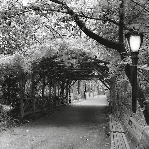 Central Park Pergola -  Erin Clark - McGaw Graphics