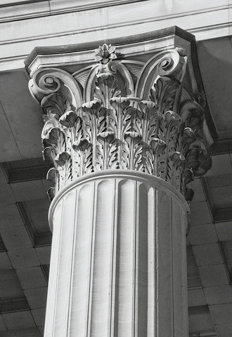 Corinthian Column II -  Erin Clark - McGaw Graphics