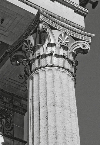 Corinthian Column III -  Erin Clark - McGaw Graphics