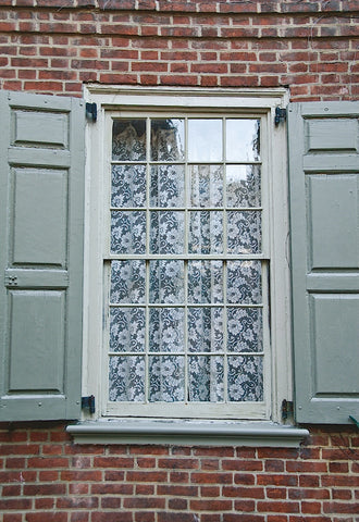 Lace Curtain (color) -  Erin Clark - McGaw Graphics