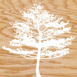 Frosty Tree -  Erin Clark - McGaw Graphics