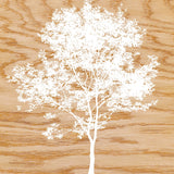 Snowy Tree -  Erin Clark - McGaw Graphics