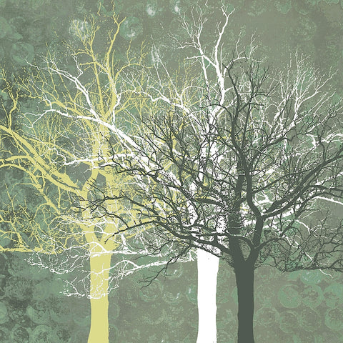 Silent Forest -  Erin Clark - McGaw Graphics