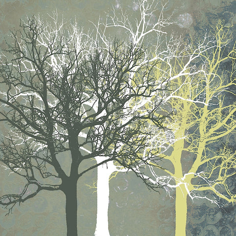 Tranquil Forest -  Erin Clark - McGaw Graphics