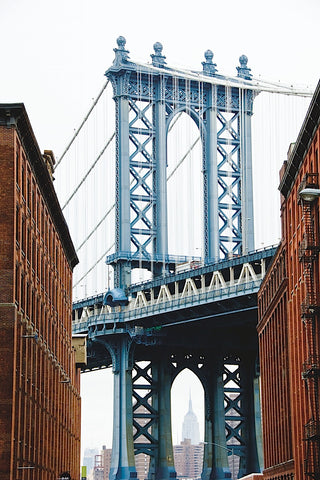 DUMBO View -  Erin Clark - McGaw Graphics