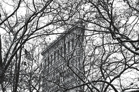 Veiled Flatiron Building (b/w) -  Erin Clark - McGaw Graphics