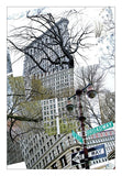 Flatiron Collage -  Erin Clark - McGaw Graphics