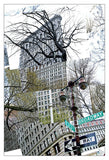 Flatiron Collage -  Erin Clark - McGaw Graphics