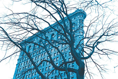 Blue Flatiron -  Erin Clark - McGaw Graphics