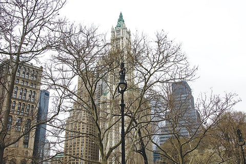Woolworth Building from City Hall Park -  Erin Clark - McGaw Graphics