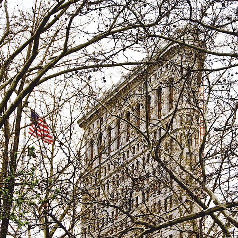 Veiled Flatiron Building (detail) -  Erin Clark - McGaw Graphics