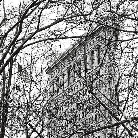 Veiled Flatiron Building (b/w) (detail) -  Erin Clark - McGaw Graphics