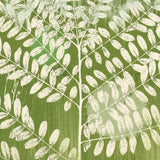 Forest Leaves -  Erin Clark - McGaw Graphics