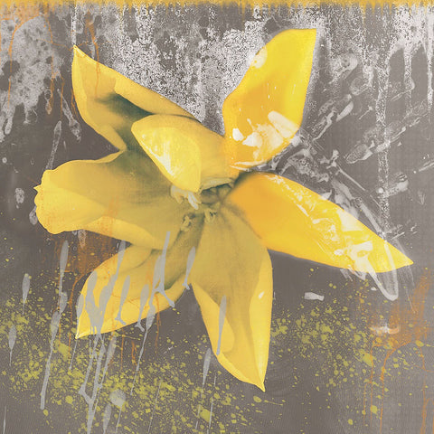Tulip Fresco (yellow) -  Erin Clark - McGaw Graphics