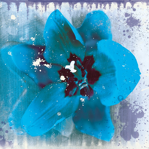 Tulip Fresco (blue) -  Erin Clark - McGaw Graphics