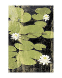 Pond Blossoms -  Erin Clark - McGaw Graphics