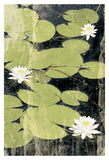 Pond Blossoms -  Erin Clark - McGaw Graphics