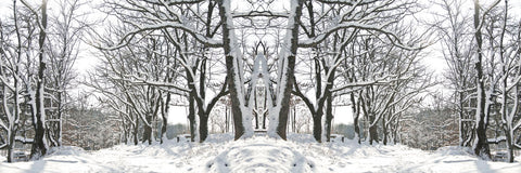 Winter Archway -  Erin Clark - McGaw Graphics