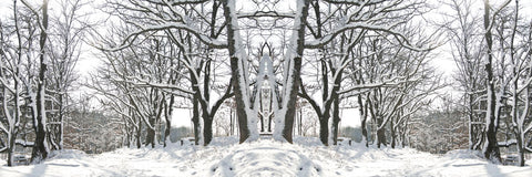 Winter Archway -  Erin Clark - McGaw Graphics