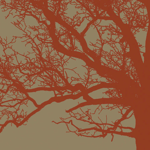 Cinnamon Tree III -  Erin Clark - McGaw Graphics