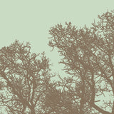 Winter Tree I -  Erin Clark - McGaw Graphics