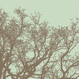 Winter Tree II -  Erin Clark - McGaw Graphics