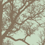 Winter Tree IV -  Erin Clark - McGaw Graphics