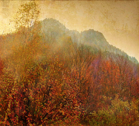 Autumn Colors 2 -  Carlos Casamayor - McGaw Graphics