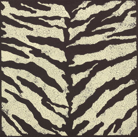 Zebra Skin -  Susan Clickner - McGaw Graphics