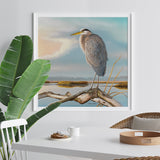 Marsh Watch - Great Blue Heron -  Richard Clifton - McGaw Graphics