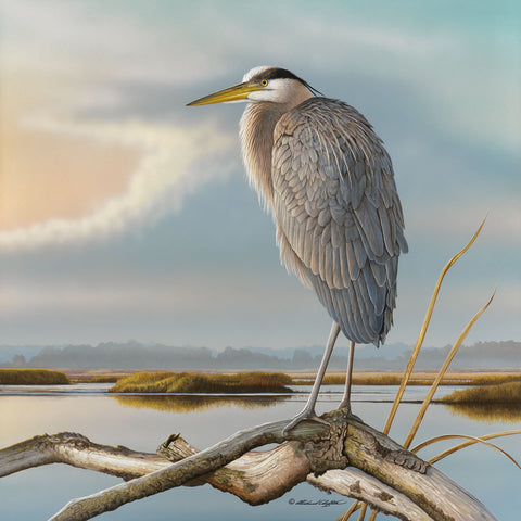 Marsh Watch - Great Blue Heron -  Richard Clifton - McGaw Graphics