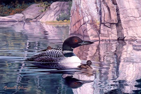 Loon with Baby (detail) -  Russell Cobane - McGaw Graphics