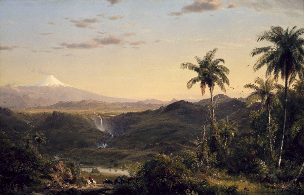 Cotopaxi, 1855 | McGaw Graphics