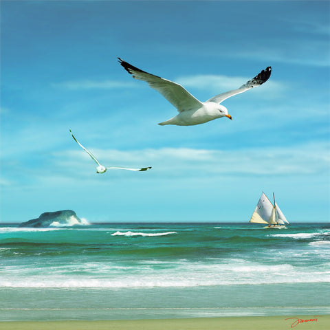 Beach 6 -  Carlos Casamayor - McGaw Graphics