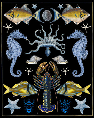 Oceana - Blue & Yellow -  Susan Clickner - McGaw Graphics