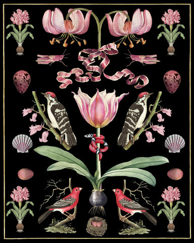 Abundance - Pinks on Black -  Susan Clickner - McGaw Graphics