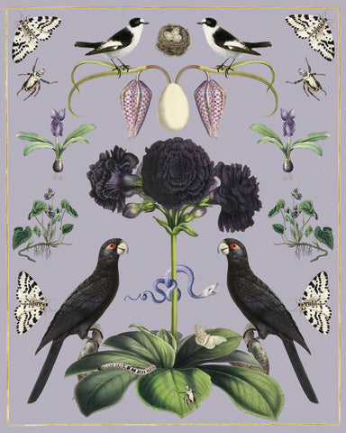 Abundance - Purple with Black Parrots on Lavender -  Susan Clickner - McGaw Graphics
