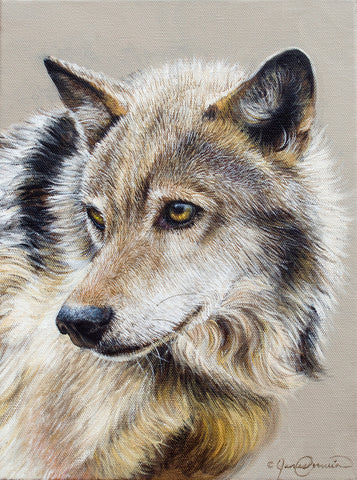 Portrait of a Wolf