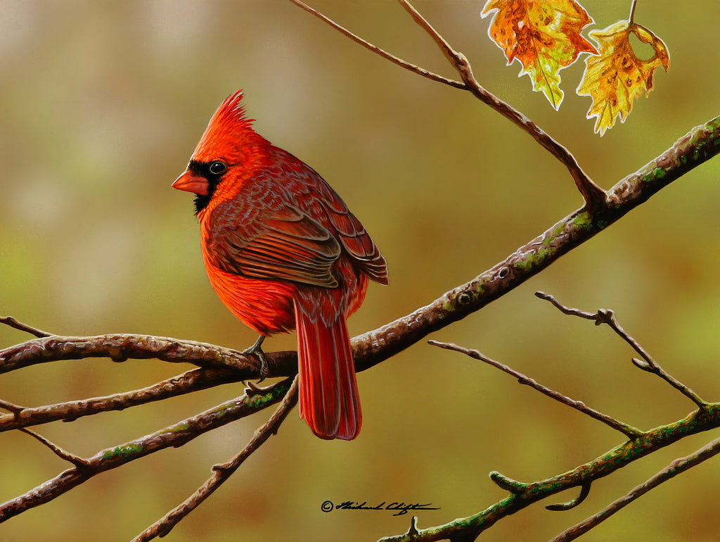 Round Top Fall Cardinal Autumn Cardinal | McGaw Graphics