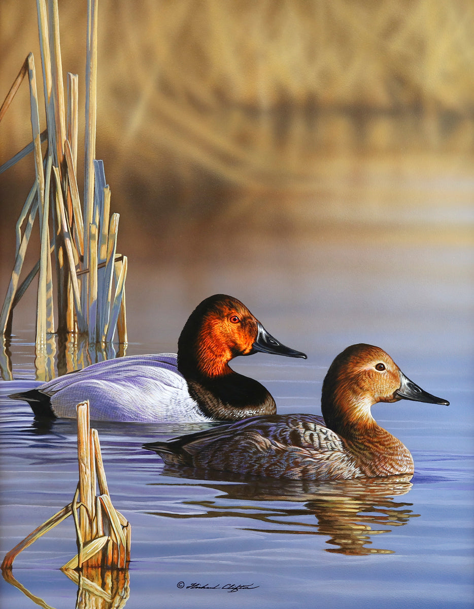 【処分特価】Richard Taubenek/リチャードタウベネク/油彩画/特大 Canvasbacks | McGaw Graphics
