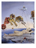 Dream Caused by the Flight of a Bee... -  Salvador Dali - McGaw Graphics