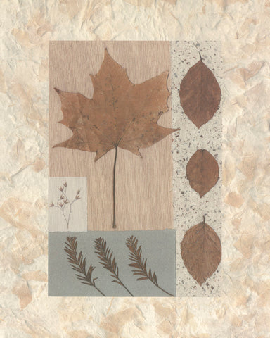 Copper Beech -  Denise Duplock - McGaw Graphics