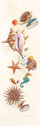 Seashell Island -  Lisa Danielle - McGaw Graphics