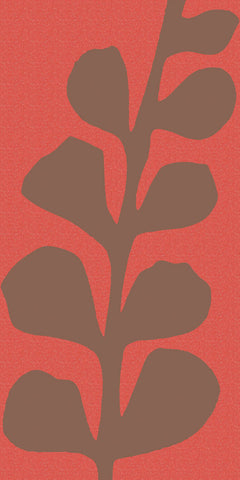 Maidenhair Coco Stem (single) -  Denise Duplock - McGaw Graphics