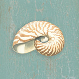 Nautilus -  Lisa Danielle - McGaw Graphics