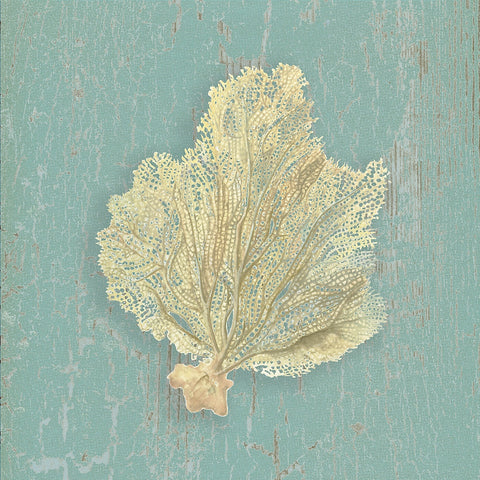 Sea Fan -  Lisa Danielle - McGaw Graphics