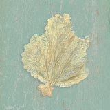 Sea Fan -  Lisa Danielle - McGaw Graphics