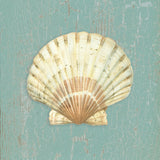 Scallop Shell -  Lisa Danielle - McGaw Graphics