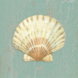 Scallop Shell -  Lisa Danielle - McGaw Graphics