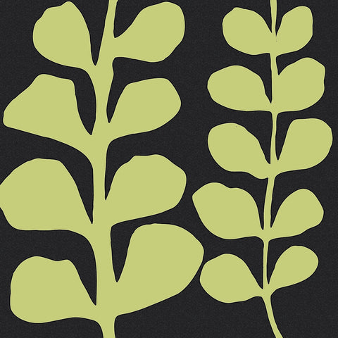 Green Fern on Black -  Denise Duplock - McGaw Graphics